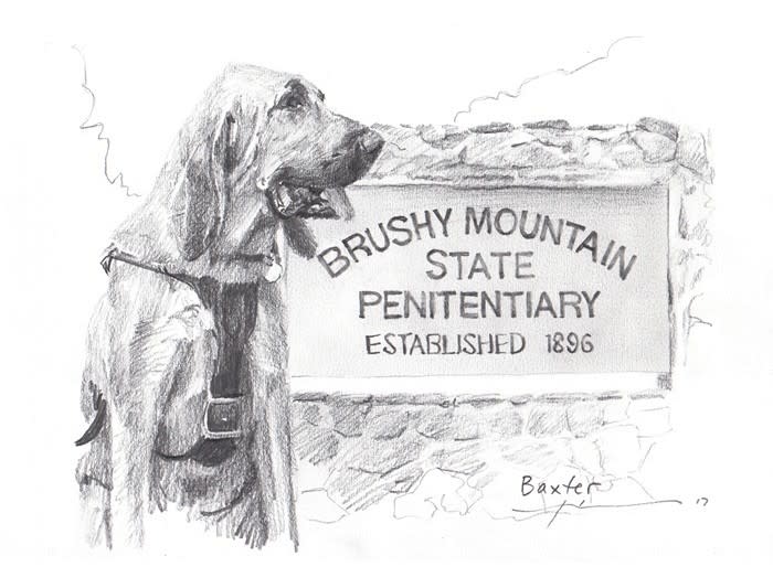 prison hounddog pencil portrait from a photo by portrait artist Mike Theuer