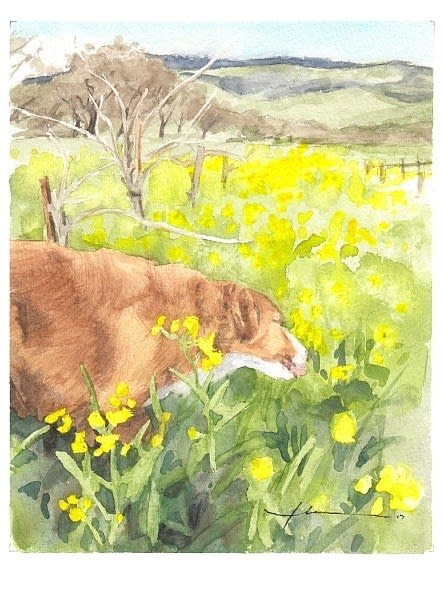 retreiver_in_yellow_flowers_vineyard_watercolor_portrait_mike_theuer