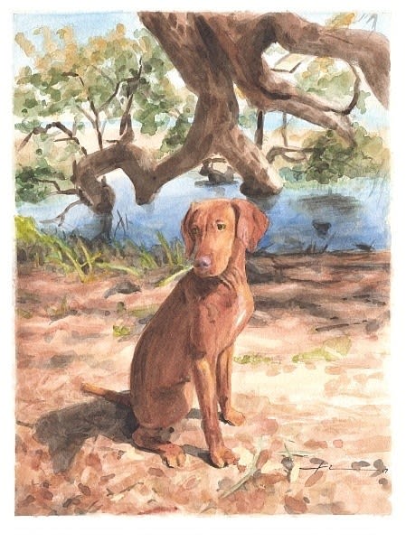 visla_puppy_by_water_watercolor_portait_mike_theuer