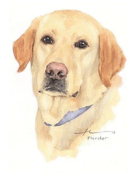 yellow lab watercolor portrait from a photo by portrait artist Mike Theuer