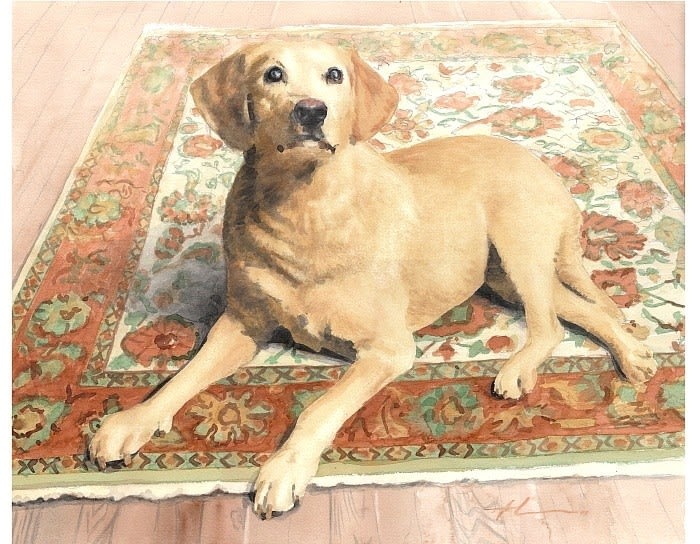 yellow lab watercolor portrait from a photo by portrait artist Mike Theuer