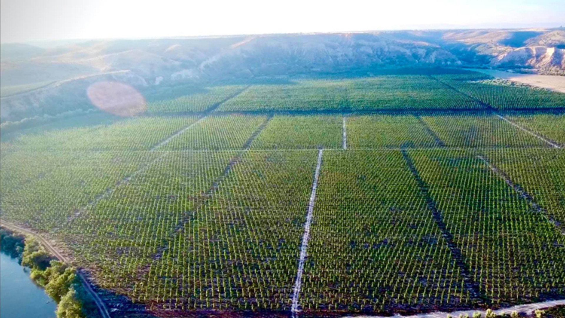 économie d'eau en agriculture