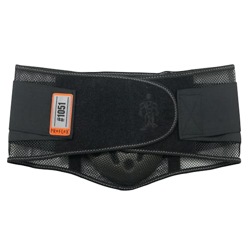 Back Support Brace with Cooling/Warming Pack