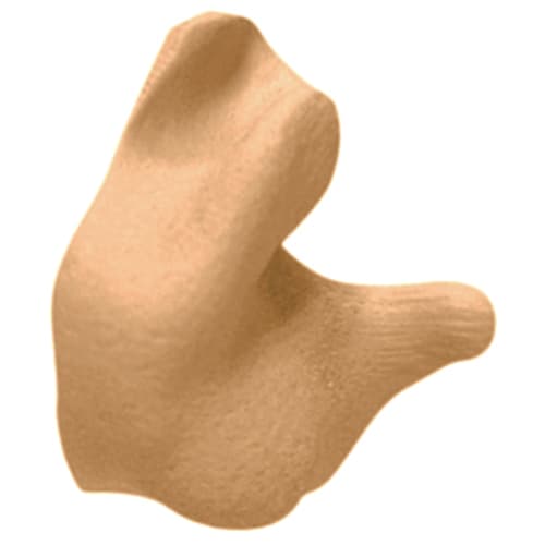 Custom Molded Earplugs