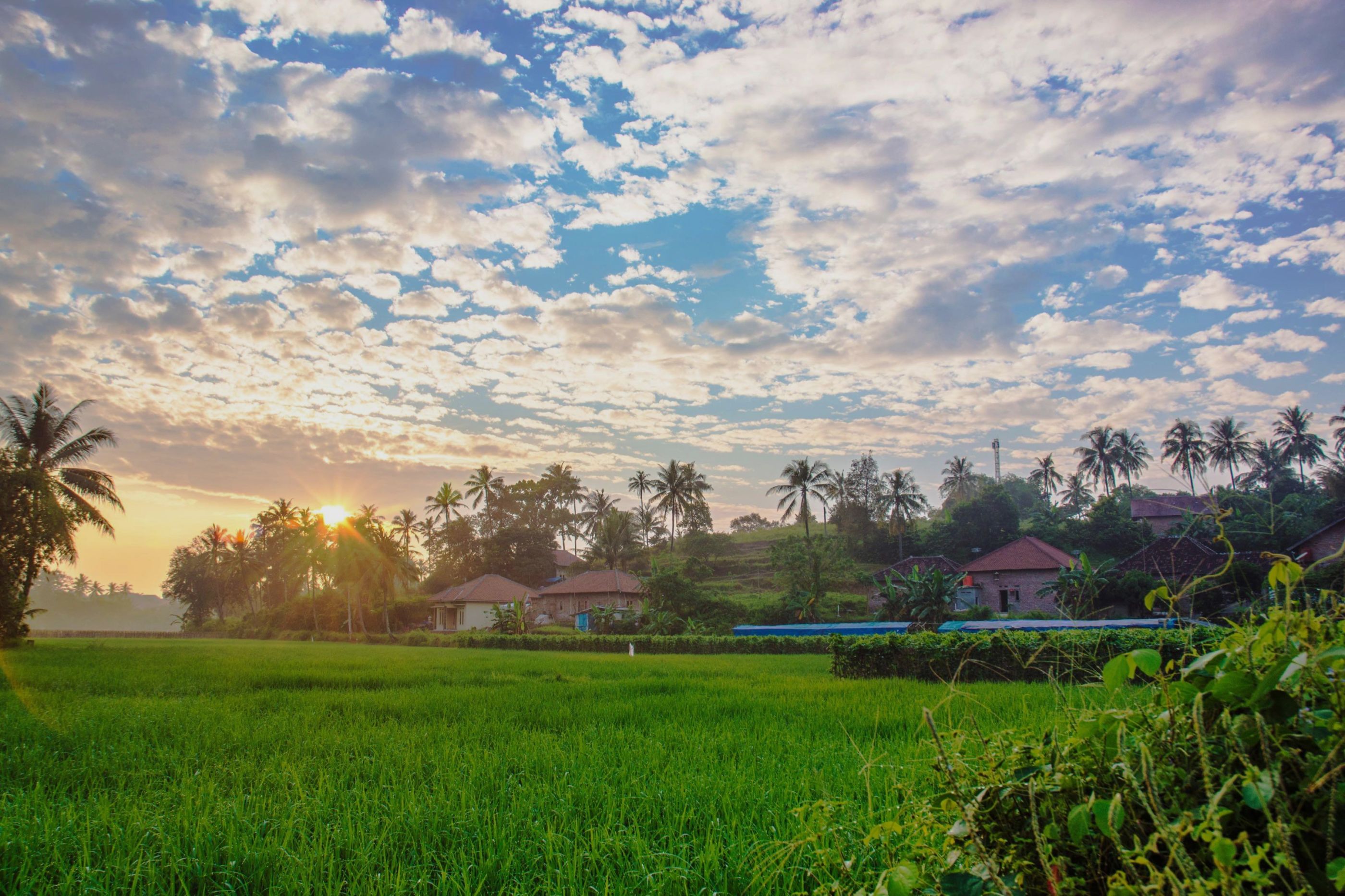 20 Homestay Dan Rumah Terpopuler Di Cilegon Staylist