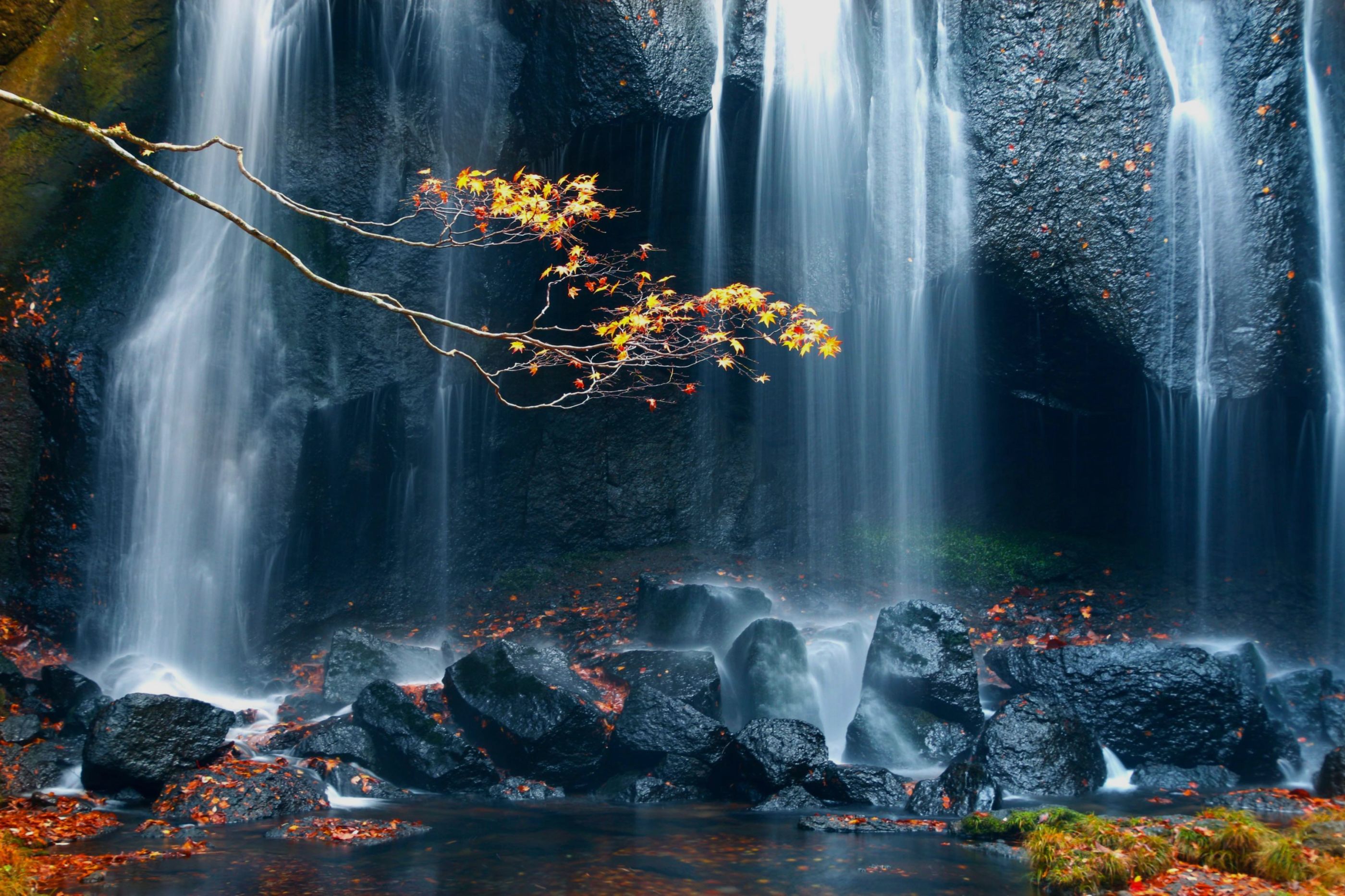 猪苗代町で人気の民泊 民宿 ゲストハウス選 Staylist