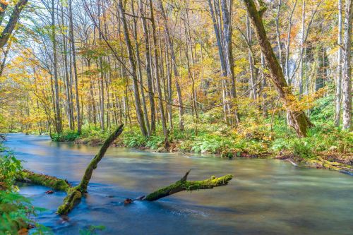 十和田市で人気の民泊 民宿 ゲストハウス50選 Staylist