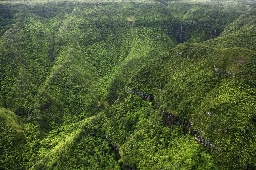 Hire a car and driver in Black River Gorge