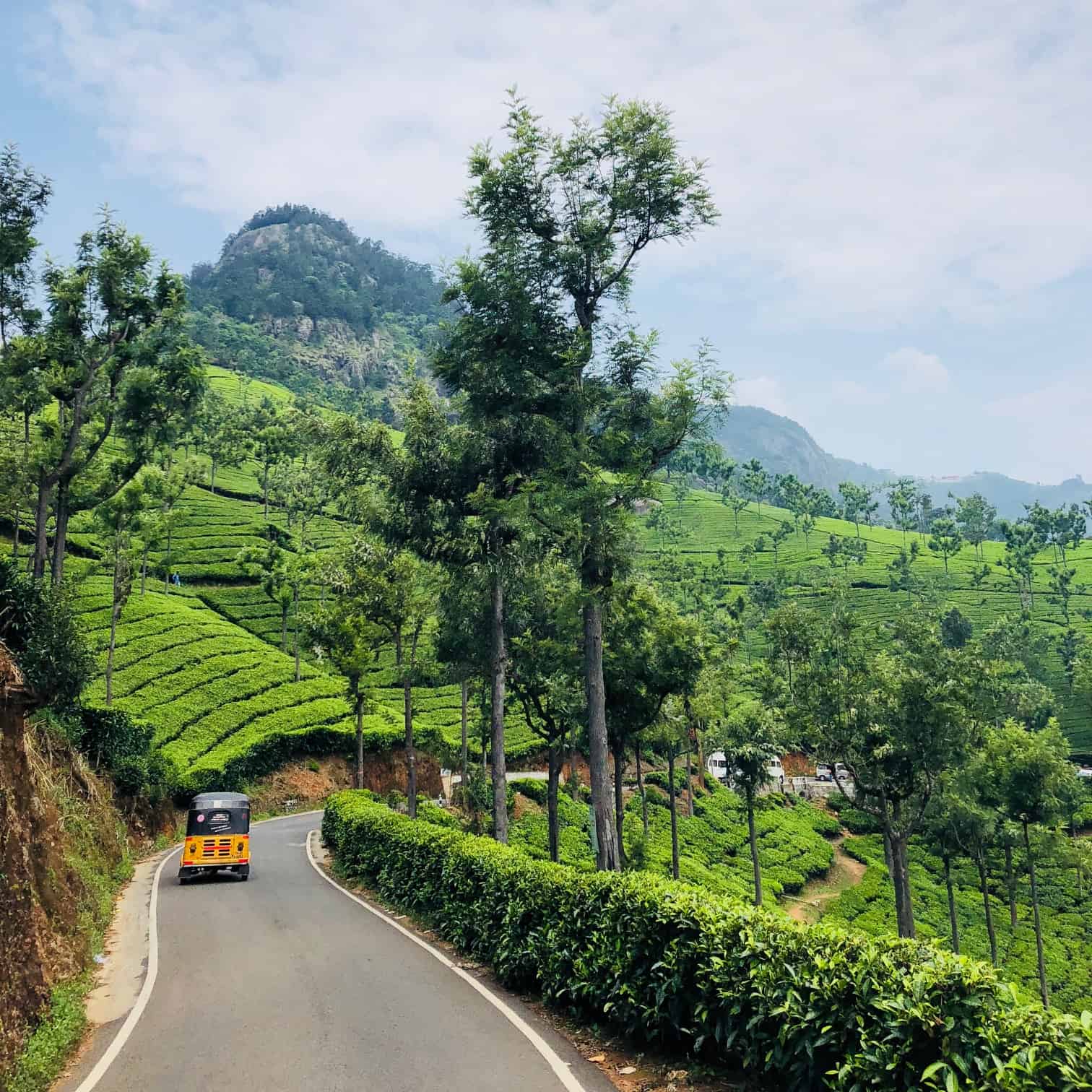 Hire a car and driver in Kotagiri