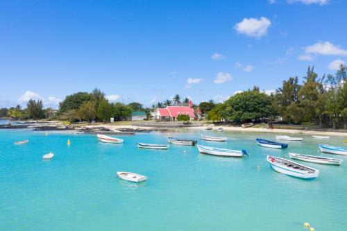 Hire a car and driver in Plaine des Papayes