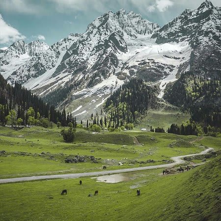 Hire a car and driver in Sonmarg