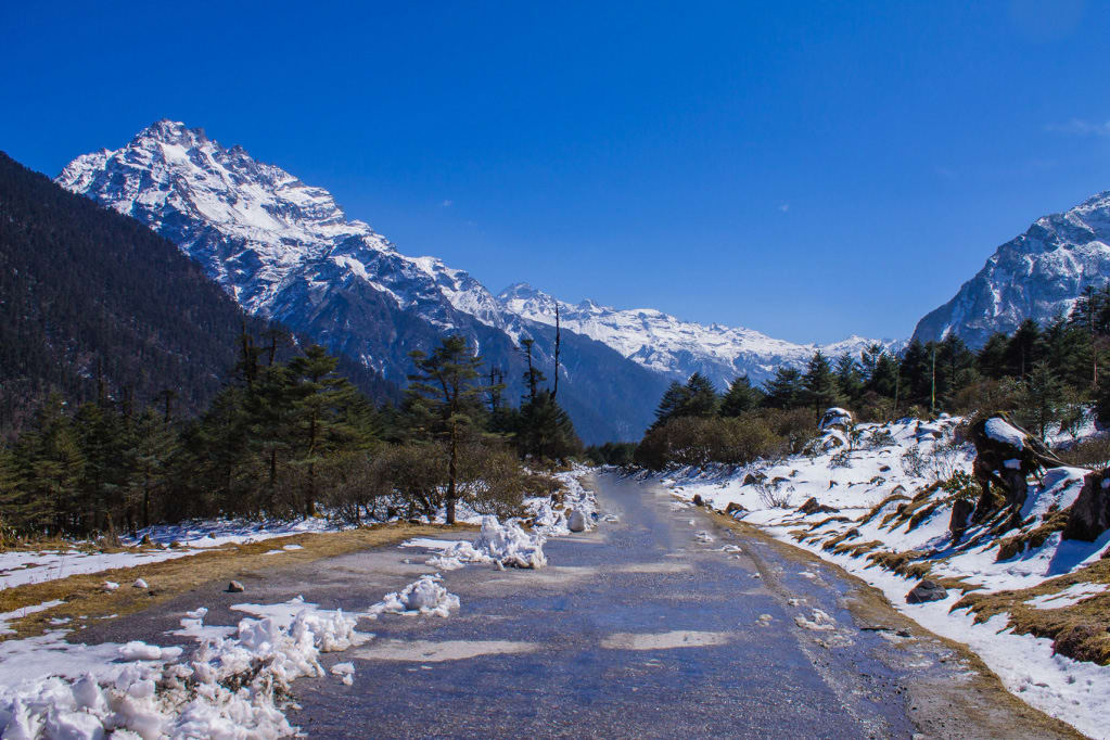 Hire a car and driver in Yumthang