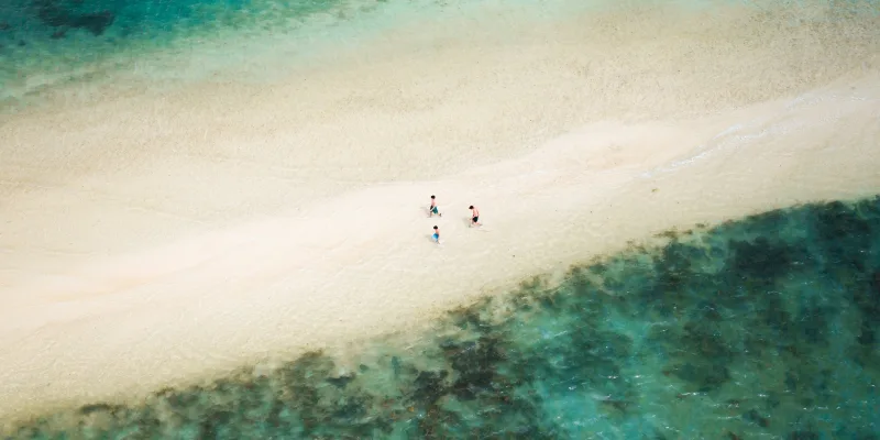 Snake Island
