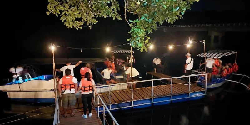 Firefly watching river cruise