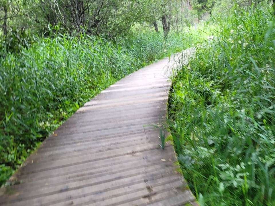 Près du télésiège – 6