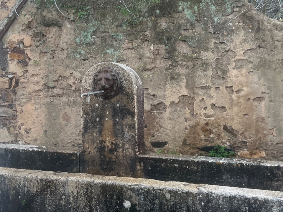 Wasser – 1