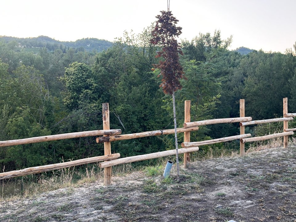 Grognard – 5