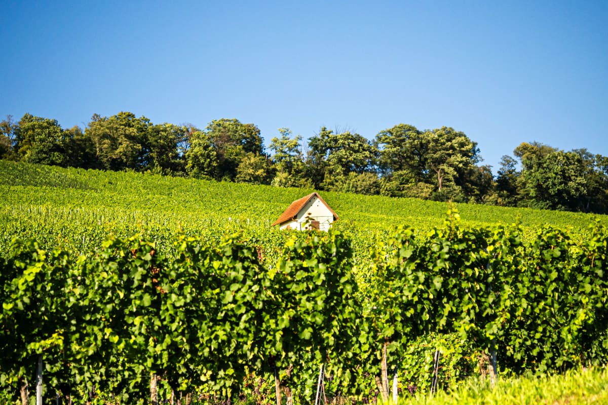 Camping in Baden-Württemberg