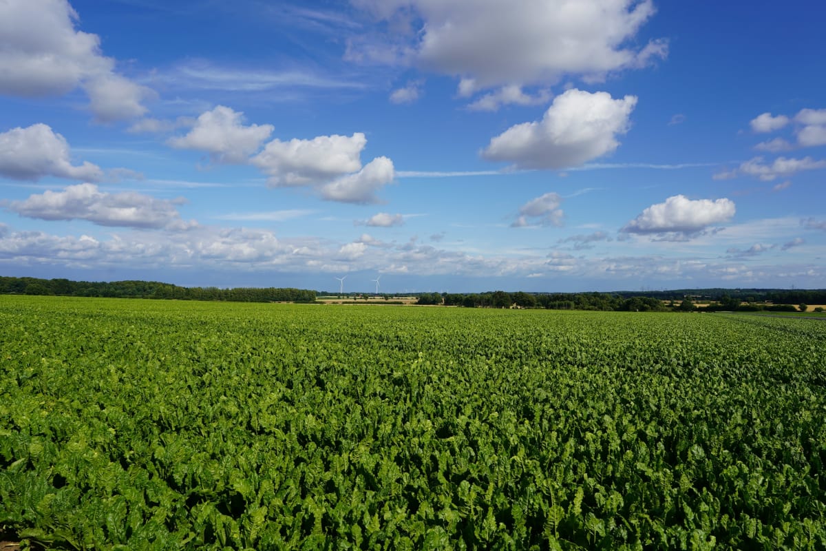 Camping in Schleswig-Holstein