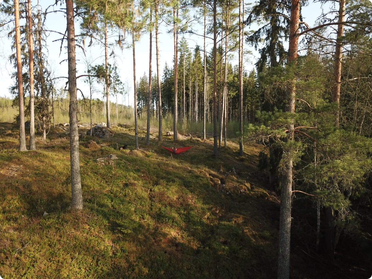 Wildkampeeractiviteiten