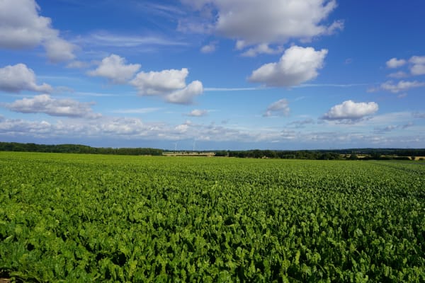 Camping i Schleswig-Holstein