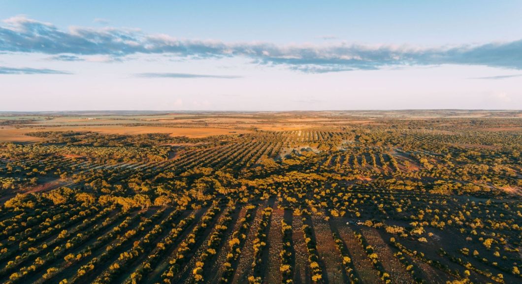 CarbonNeutralDrone-PhotoOrd-20-client – Cropped