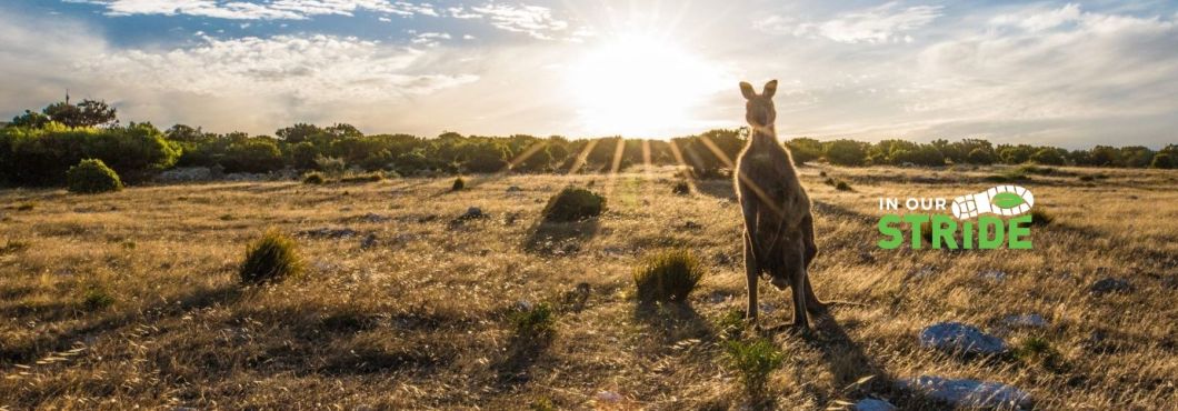 Steel Blue launches new Global Sustainability Goals 2020-2025