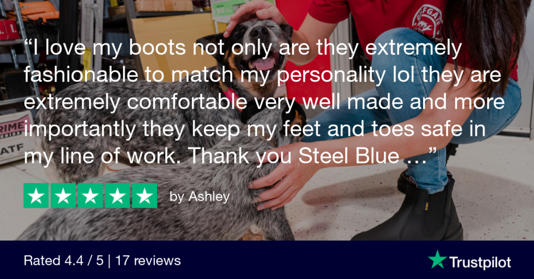 Trustpilot Review – Ashley