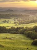 Steel Blue launches new Global Sustainability Goals 2020-2025
