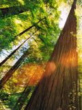 Steel Blue launches new Global Sustainability Goals 2020-2025