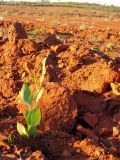 Steel Blue’s Australian Operations are now Carbon Neutral.