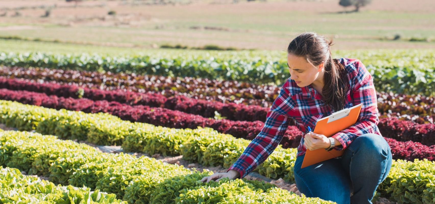 Female Farmer - USA CSR LR (iStock-948055100)