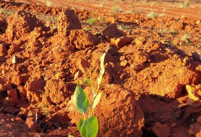 Steel Blue’s Australian Operations are now Carbon Neutral.