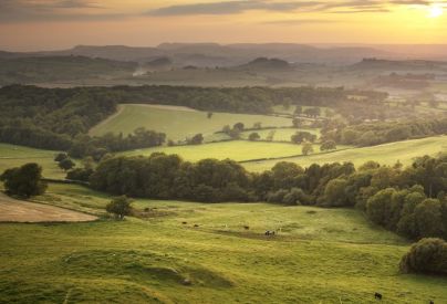 Steel Blue launches new Global Sustainability Goals 2020-2025