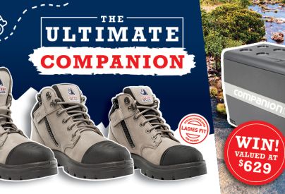 Congratulations to All Our 'The Ultimate Companion' Winners