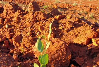 Alle werkzaamheden van Steel Blue in Australië zijn vanaf nu klimaatneutraal.