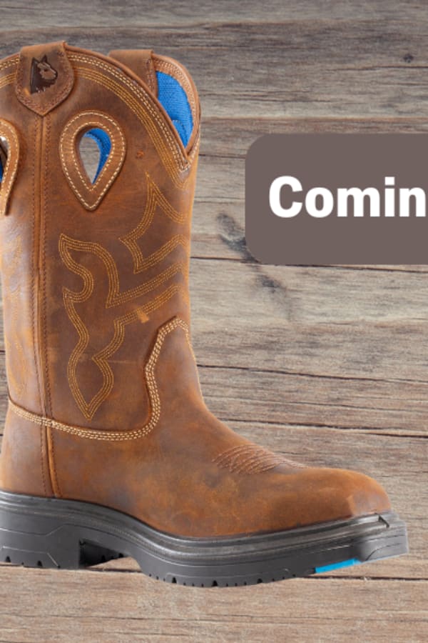Blue Heeler DB Coming soon Web banner