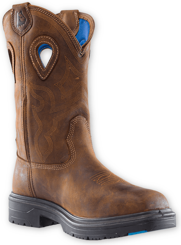 Blue Heeler Met Boot