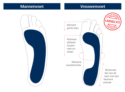 NL_Ladies_Foot_vs_Mens_Diagram_WEB