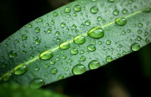 Climate Achievements - Steel blue Australia