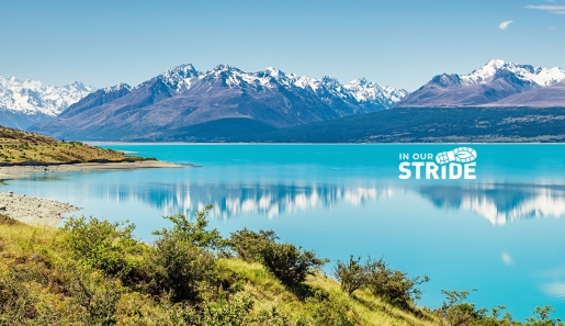 NZ scenery_with logo – cropped for about