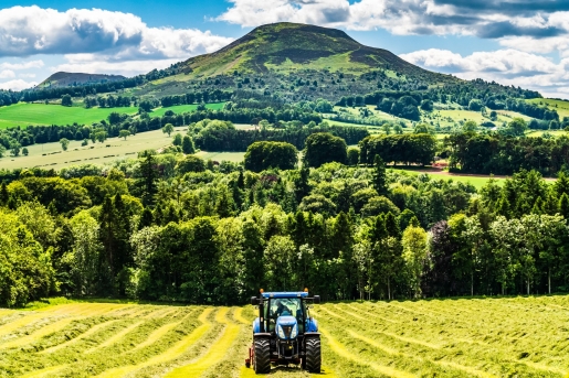 Farming – UK CSR LR (iStock-991982382)