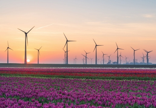 Wind turbine – NL CSR LR 1 (iStock-463392131) – cropped