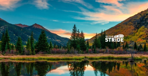 Homepage slider – USA CSR_scenery_with_logo – cropped for about