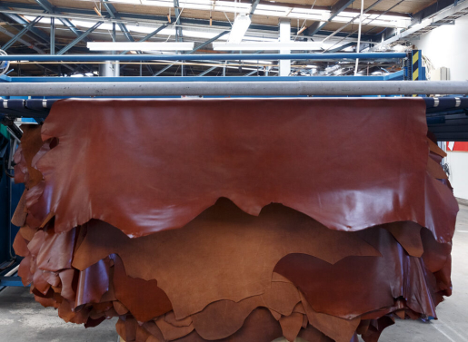 tasman leather