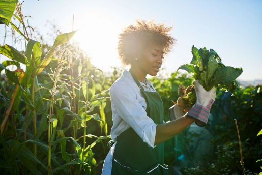 Female Vegetable Gardener – USA CSR LR (iStock-934919474)