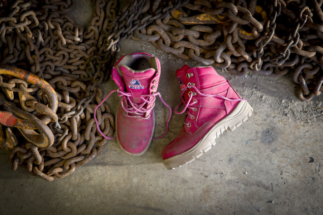 Southern-Cross-Pink-Ladies-Landscape-Chains2