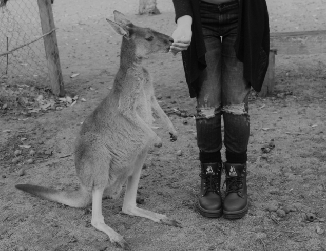 Kanga B&W (IMG_2792).Cropped.2
