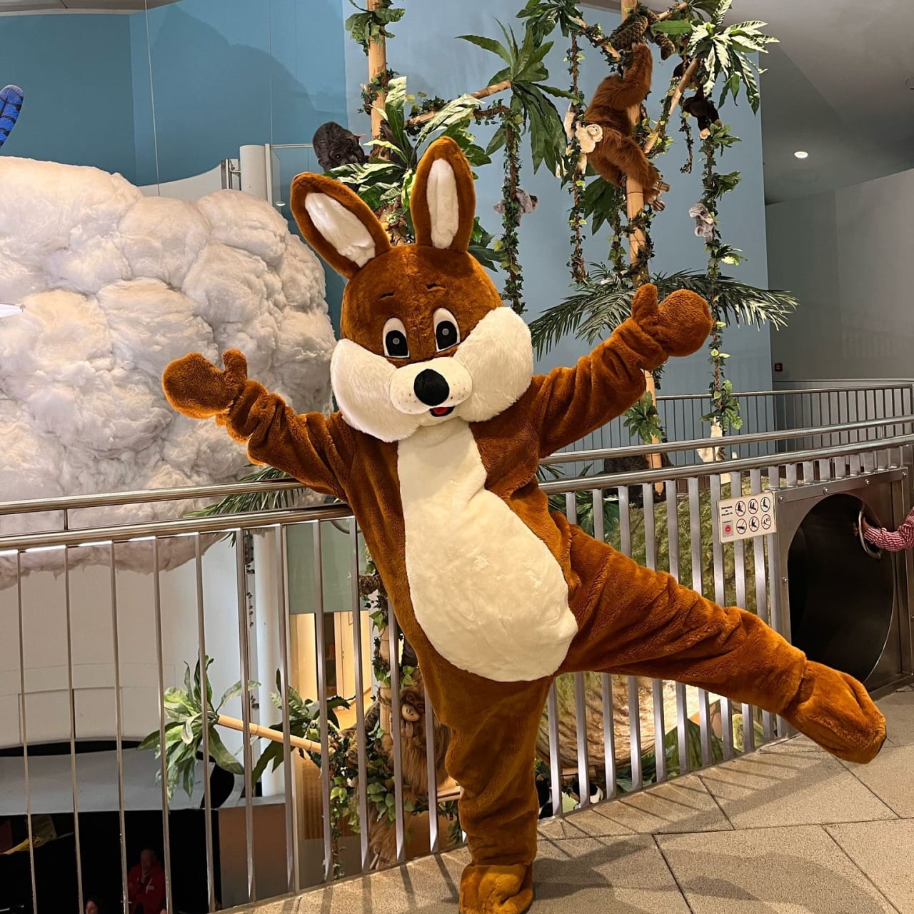 D5ec7c34 2a55 4a2c 80ba 877239b754ee