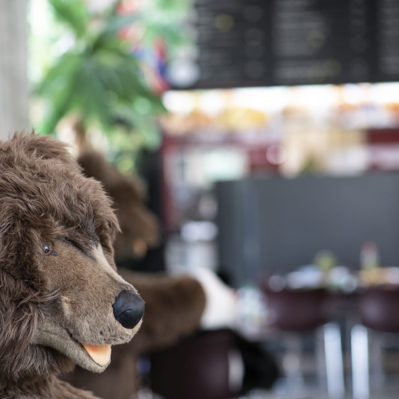 Steiff bistro knopf mit teddy